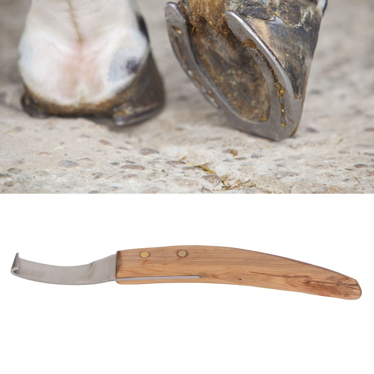 Left Hand Hoof Knife with Wooden Handle Steel Curved Livestock Cattle Hoof Trimming Tool