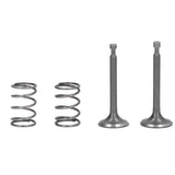 Valve Plate Protection Cover Valve Spring Set Lawn Mower Accessories 14791‑ZE1‑010 for GX160 GX200 5.5HP 6.5HP Engine