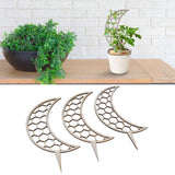 3 Pcs Vines Climbing Support Unique Design Composite Wood 30cm Flower Climbing Rack for Plant Modeling Moon Style - Extra Image