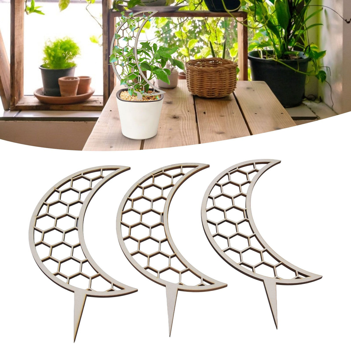 3 Pcs Vines Climbing Support Unique Design Composite Wood 30cm Flower Climbing Rack for Plant Modeling Moon Style