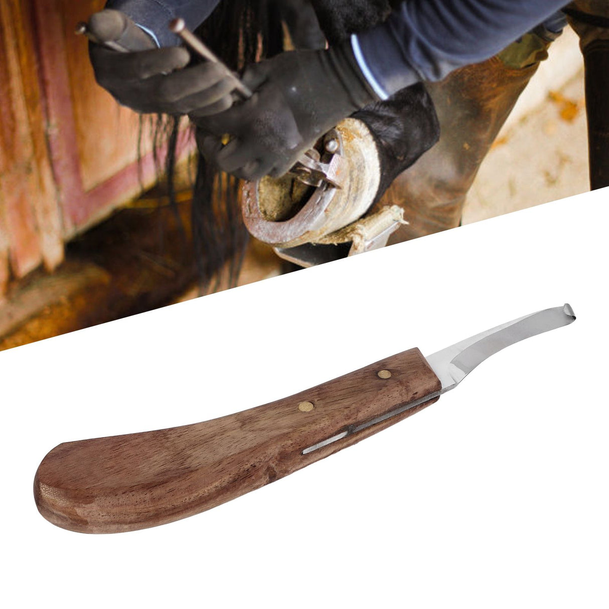 Horse Hoof Knife Curved Fine Carbon Steel Blade Ergonomic Left Hand Hoof Trimmer for Farm