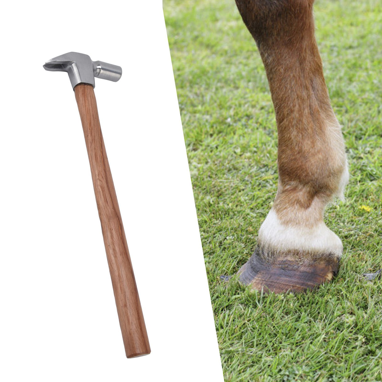 Farrier Driving Hammer Tool Steel Wooden Handle Durable Widely Used Horse Shoe Hammer for Horse Shoeing Hoof Care