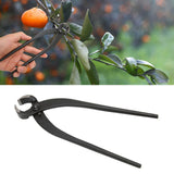 Bonsai Branch Cutter Professional Manganese Steel Bonsai Trim Pliers for Flowers Fruit Trees Bonsai 8.3in - Extra Image