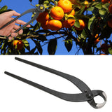 Bonsai Branch Cutter Professional Manganese Steel Bonsai Trim Pliers for Flowers Fruit Trees Bonsai 8.3in