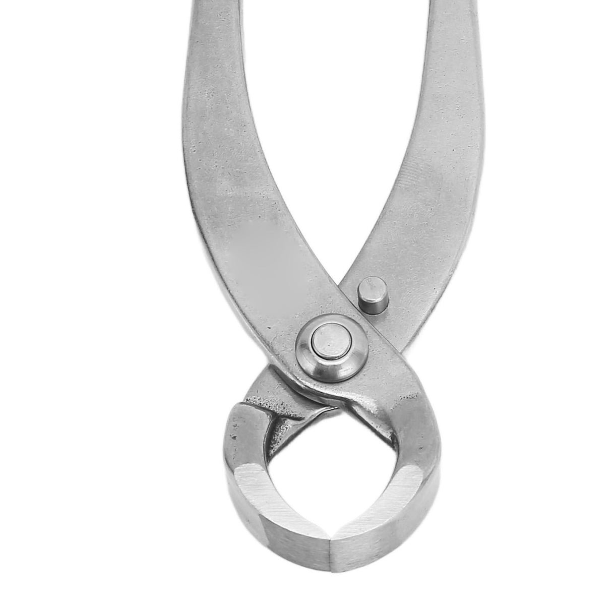 210mm/8.3in Bonsai Branch Cutter Ergonomic Trim Pliers Stainless Steel Professional for Flowers Fruit Trees