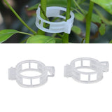 300Pcs Plastic Tomato Clips Good Fixation Support Reusable Plant Support Clips for Various Vegetables Flowers 50 Pcs/ Pack - Extra Image