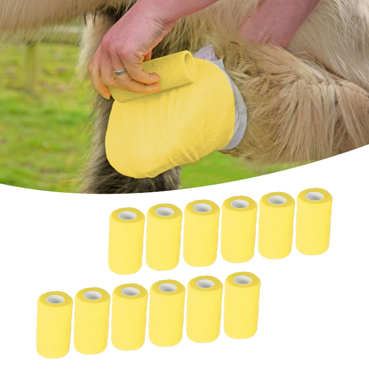 12Pcs Bandage Wrap Natural Latex Elastic Self Adhesive Wrap for Cows Dogs Horses 10cm Yellow