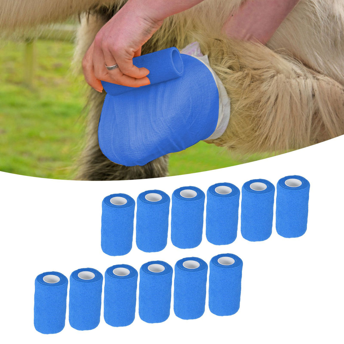 12Pcs Bandage Wrap Natural Latex Elastic Self Adhesive Wrap for Cows Dogs Horses 10cm Blue