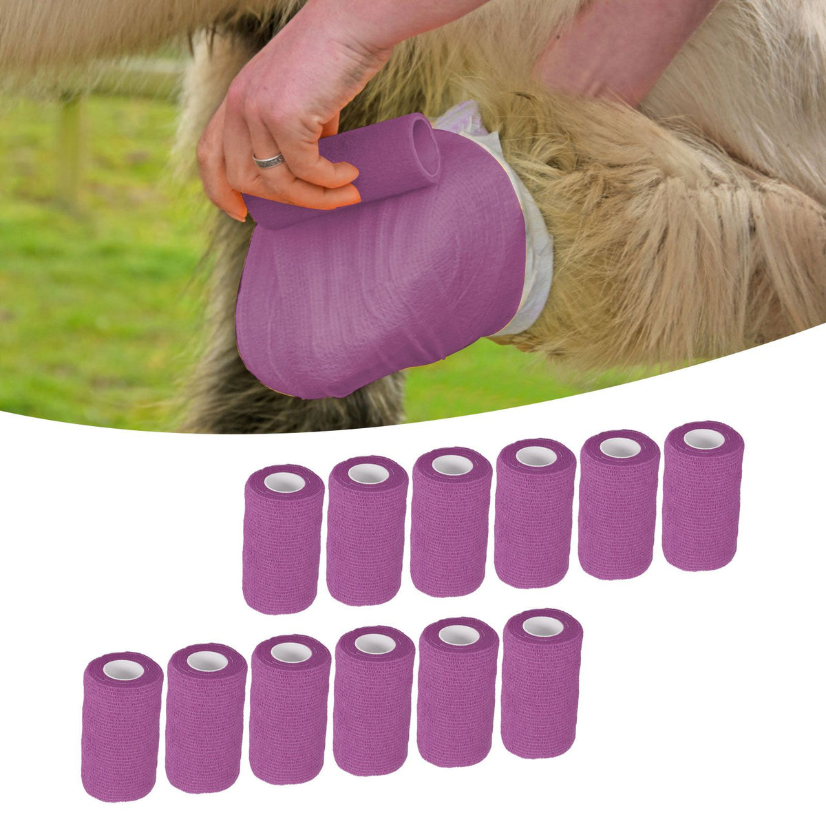 12Pcs Bandage Wrap Natural Latex Elastic Self Adhesive Wrap for Cows Dogs Horses 10cm Purple