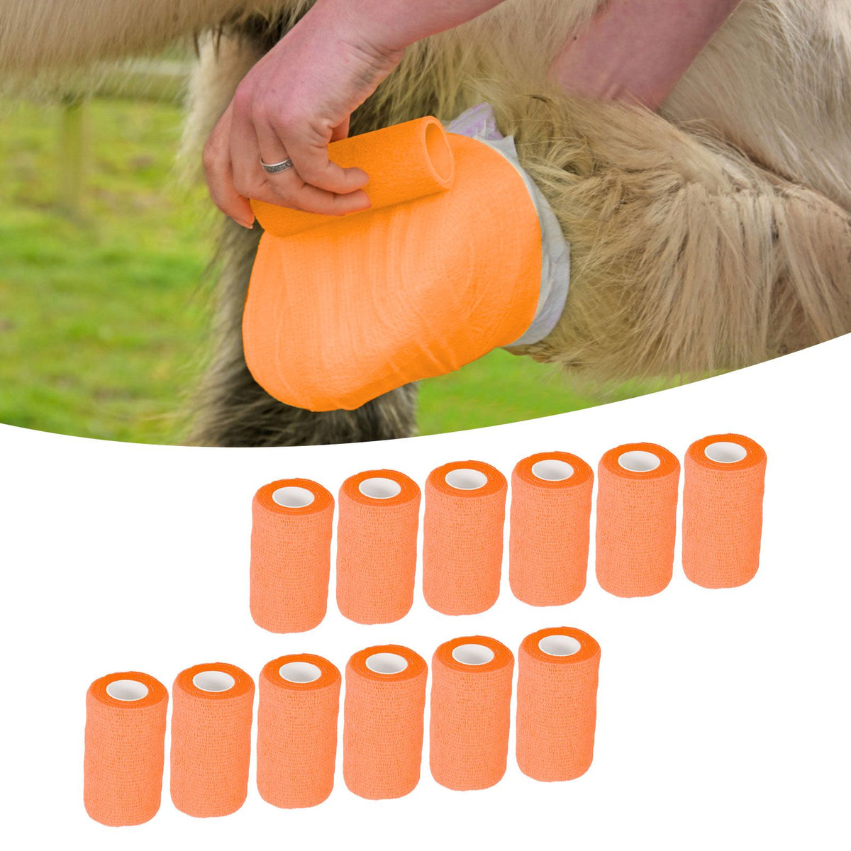 12Pcs Bandage Wrap Natural Latex Elastic Self Adhesive Wrap for Cows Dogs Horses 10cm Orange