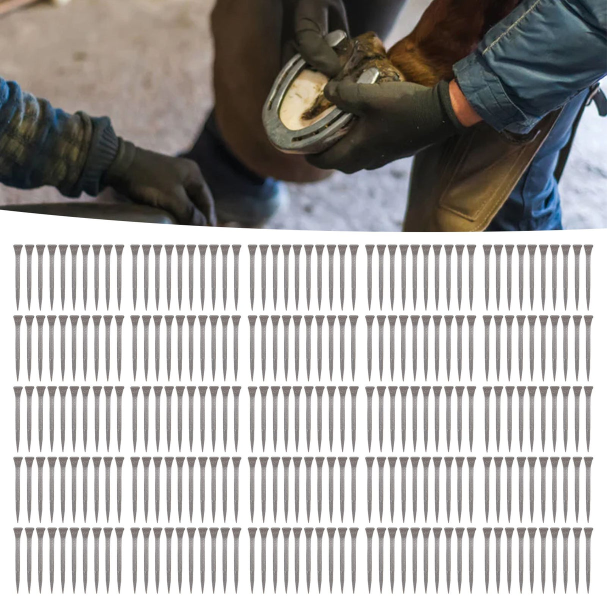250PCS Horseshoe Nails Portable Small High Hardness Animal Husbandry Low Carbon Steel Horseshoe Nails Farrier Tools
