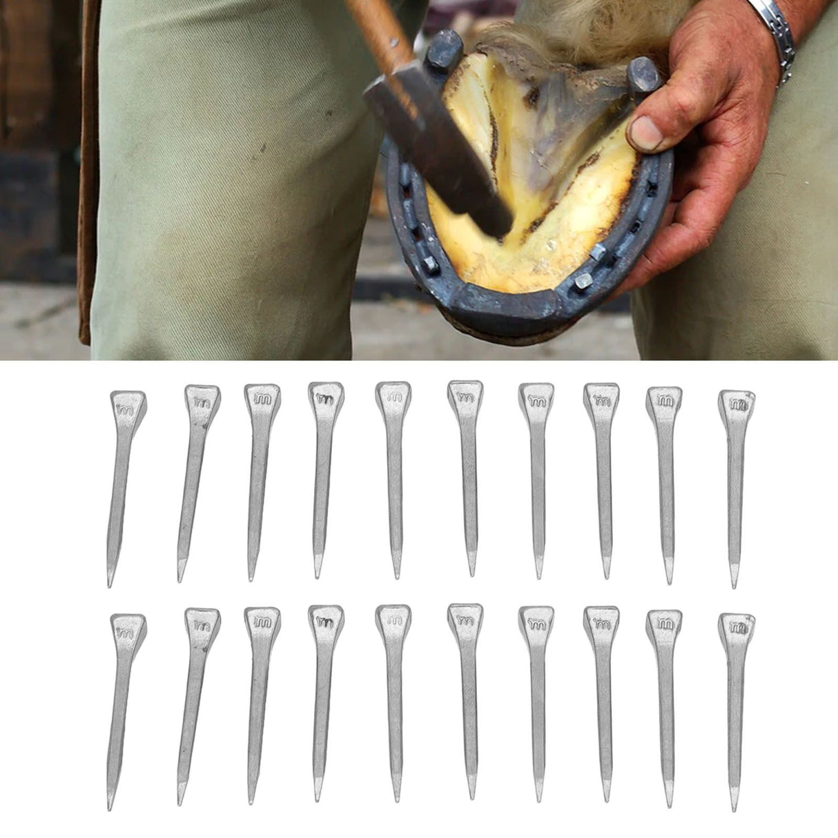 250 Pcs Horseshoe Nails High Tensile Strength Good Elasticity Accurately Crafted Steel Horse Shoes Nails FJ0RACE