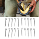 250 Pcs Horseshoe Nails High Tensile Strength Good Elasticity Accurately Crafted Steel Horse Shoes Nails FJ0RACE