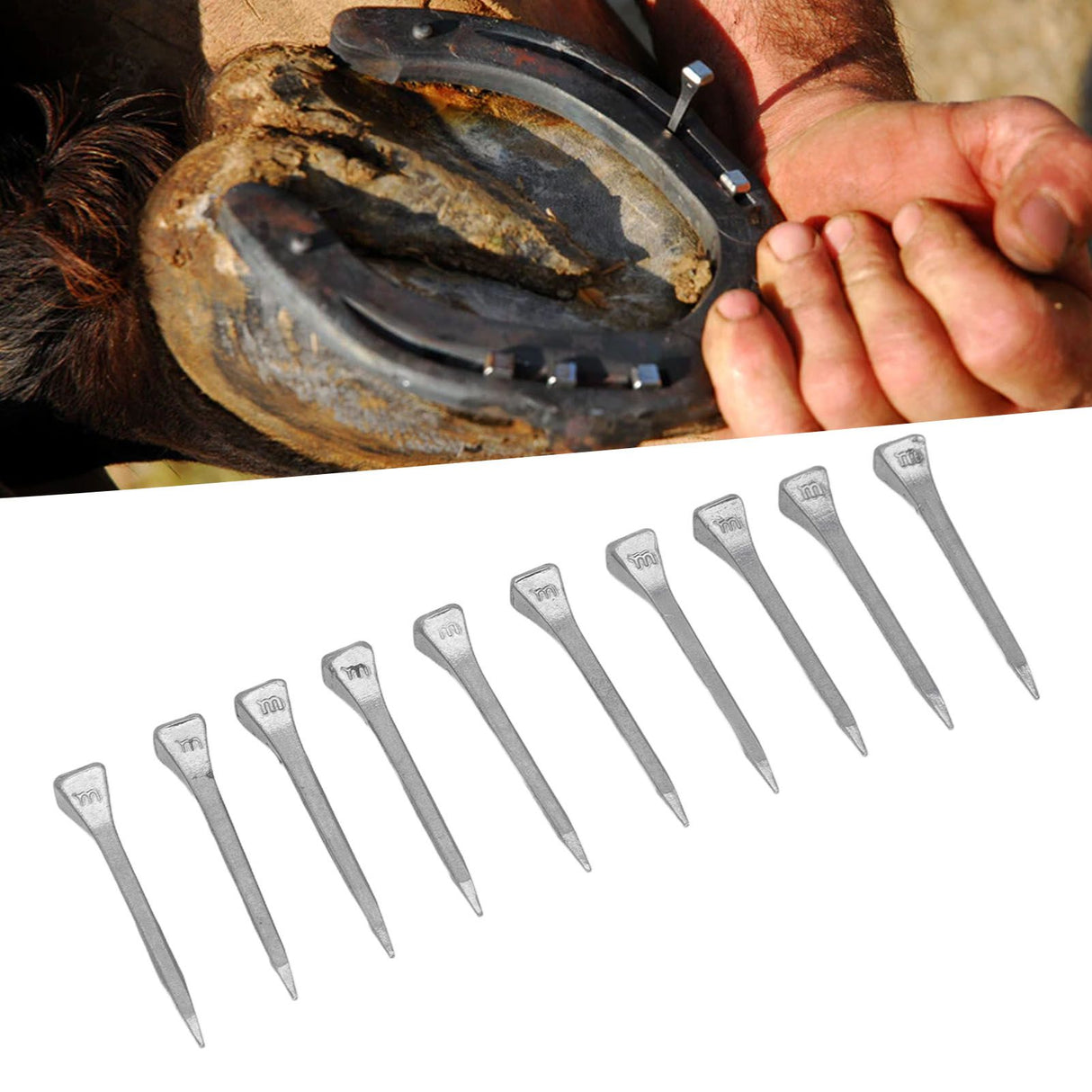 250 Pcs Horseshoe Nails High Tensile Strength Good Elasticity Accurately Crafted Steel Horse Shoes Nails FJ0RACE