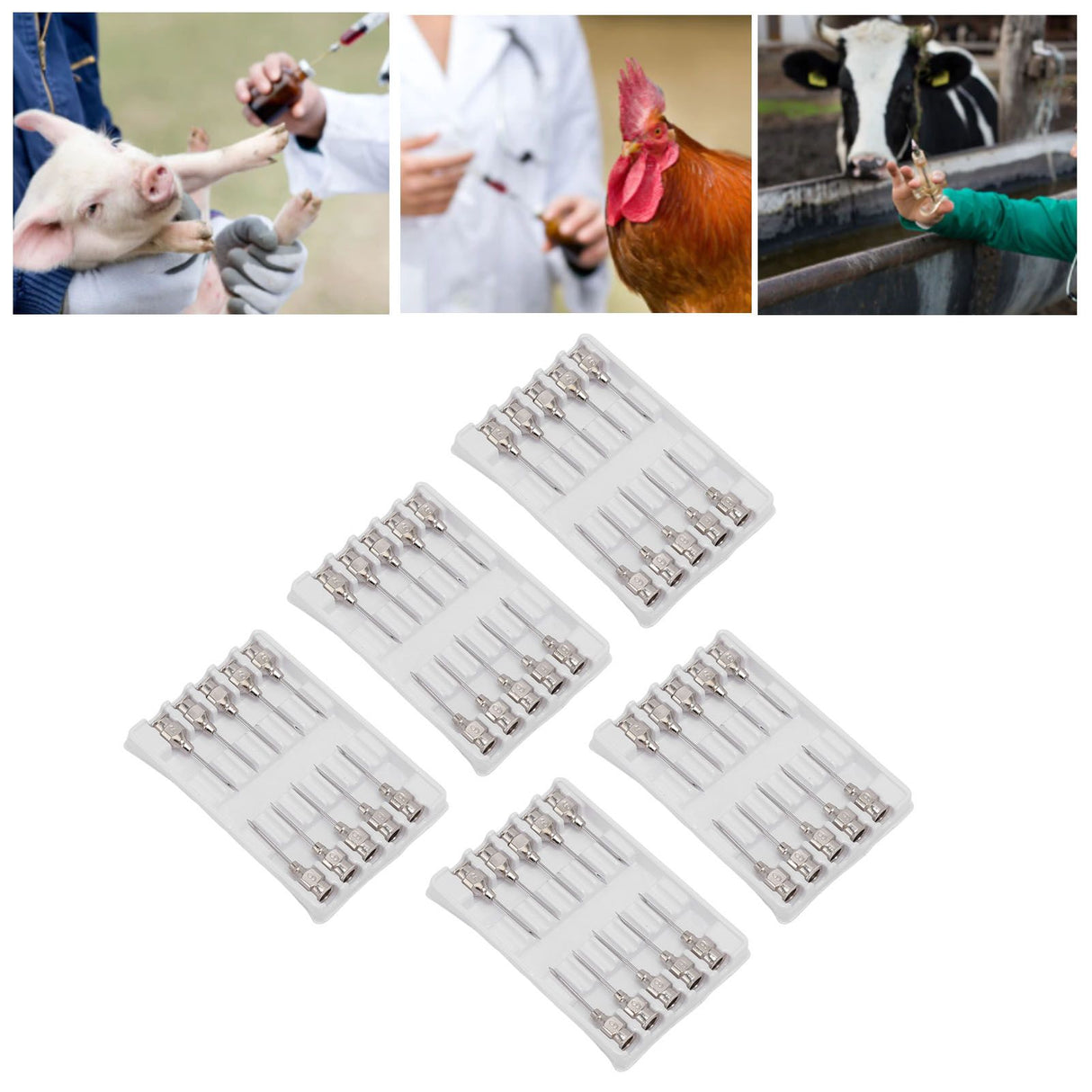 Poultry Injection Needles Stainless Steel Bovine Pig Injection Needle Cow Pig Injection Needle Accessories 9x15mm / 0.4x0.6in
