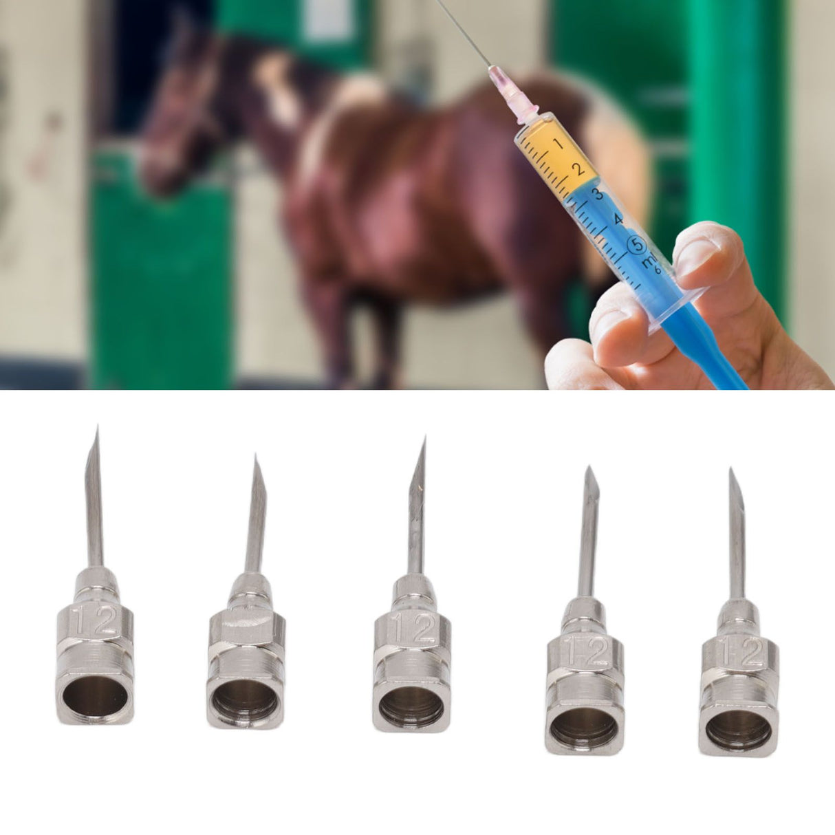 Poultry Injection Needles Stainless Steel Bovine Pig Injection Needle Cow Pig Injection Needle Accessories 12x15mm / 0.5x0.6in