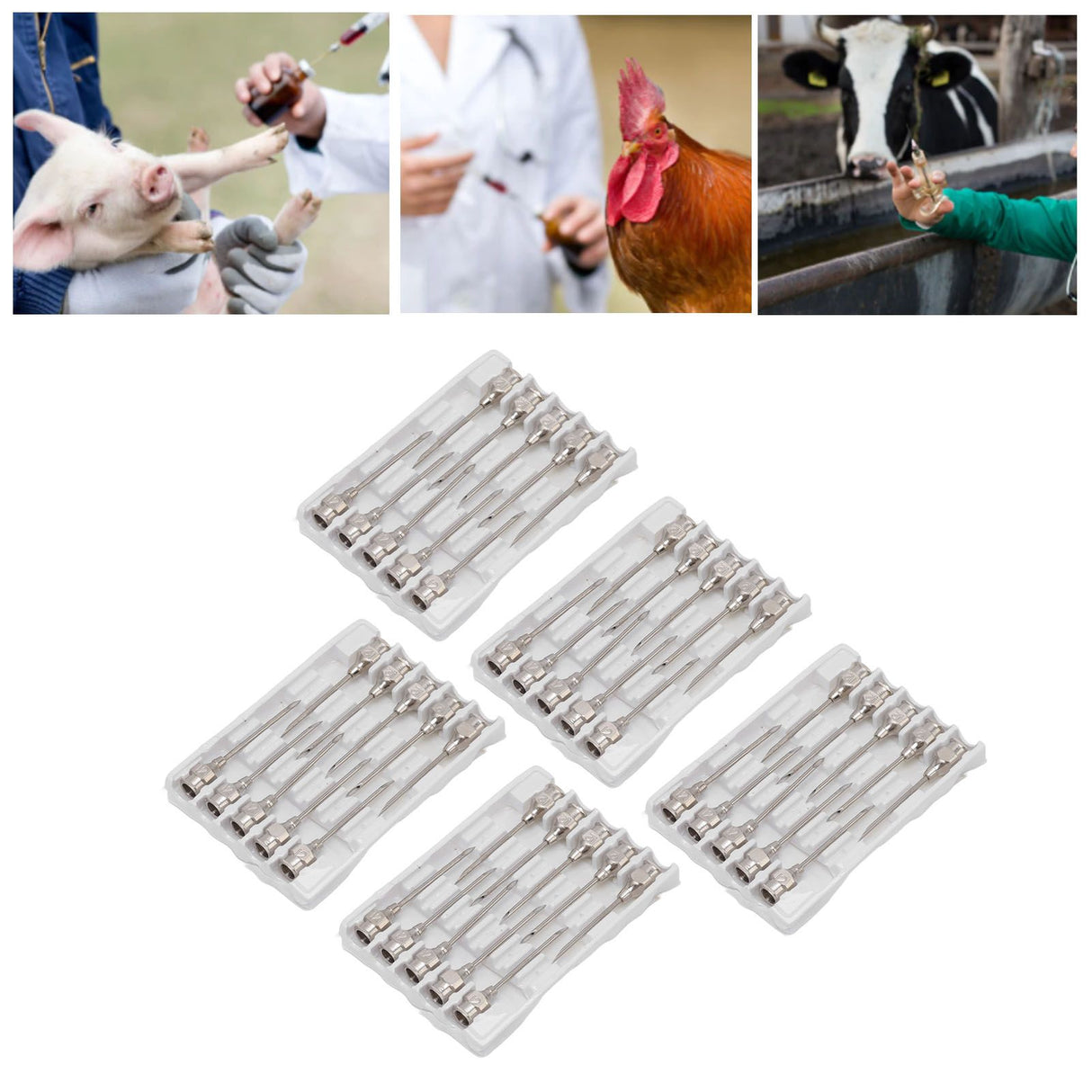 Poultry Injection Needles Stainless Steel Bovine Pig Injection Needle Cow Pig Injection Needle Accessories 12x25mm / 0.5x1.0in