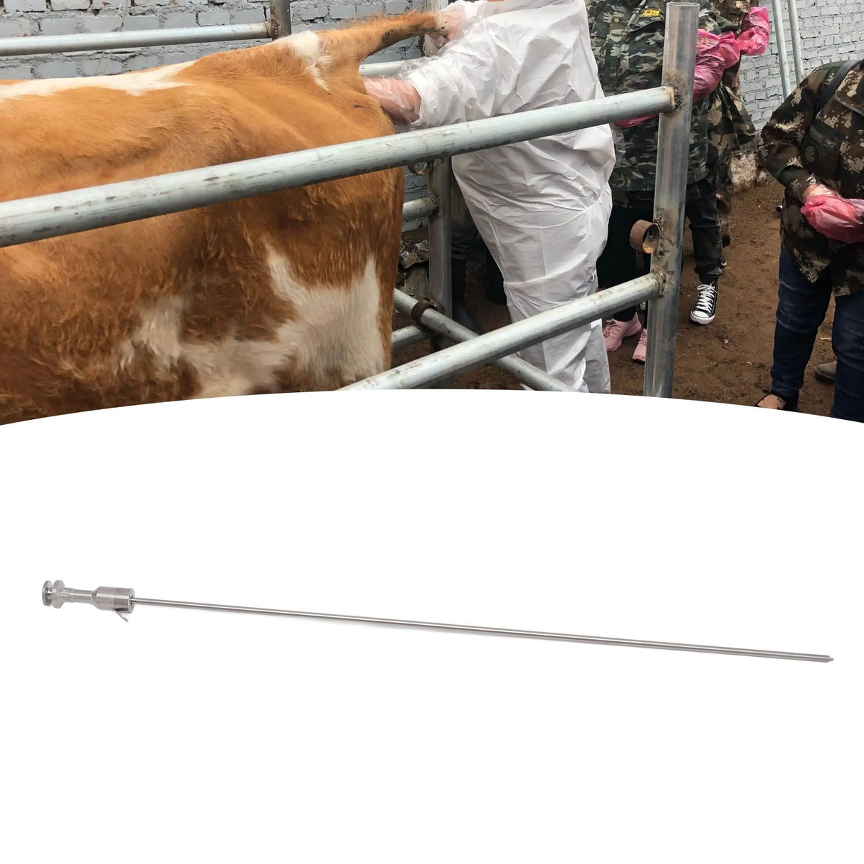 Bovine Insemination Pipe Stainless Steel Snap Spring Type Insemination Needle for Cow Farm Veterinary Instrument