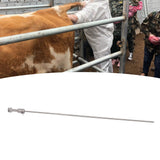 Bovine Insemination Pipe Stainless Steel Snap Spring Type Insemination Needle for Cow Farm Veterinary Instrument - Extra Image