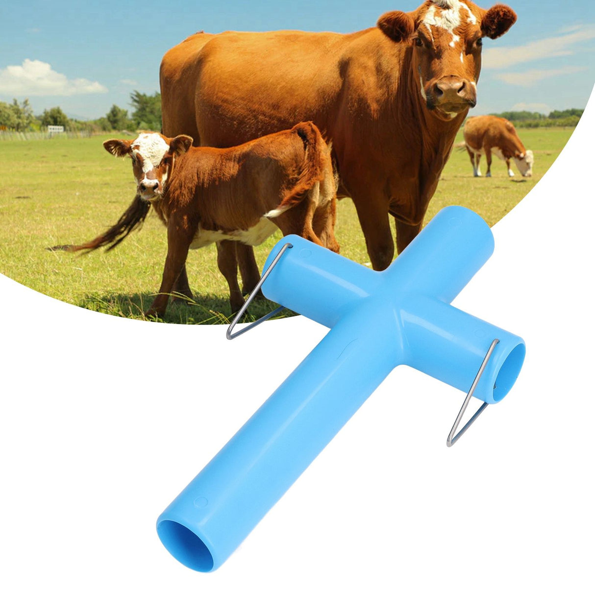 Cow Sheep Mouth Opener Gastric Lavage Veterinary Mouth Opening Tool Animals Livestock Breeding Equipment for Farm Blue L