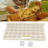Queen Bee Storage Device Multifunctional Plastic Bee Storage Cage for Queen Rearing - Extra Image