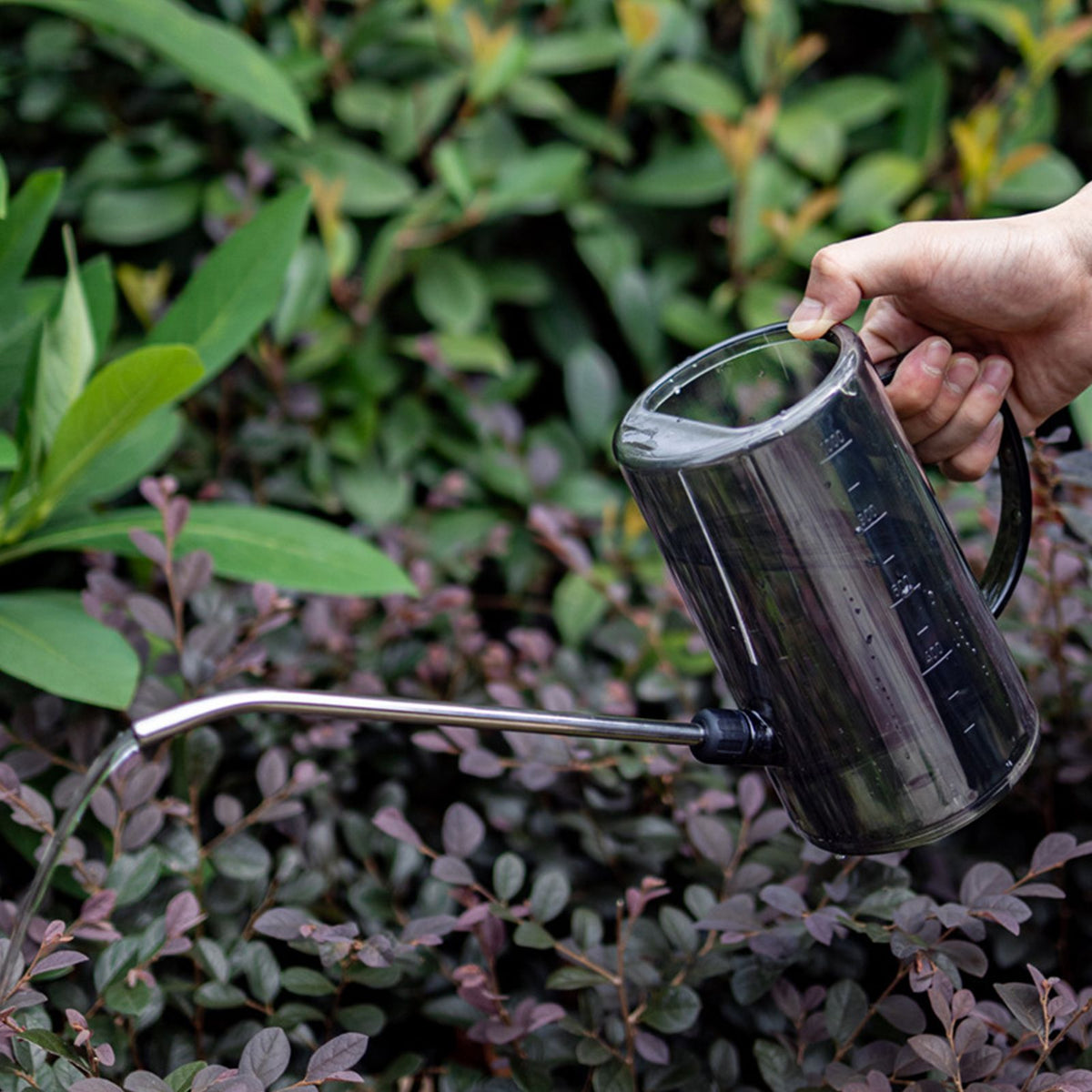 1L Watering Can PP Fully Transparent Indoor Plants Watering Can with Long Spout for Garden Starry Gray