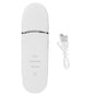 Ultrasonic Skin Scrubber Exfoliator Blackhead Removal Multifunctional Facial Skin Scrubber for Deep Cleansing