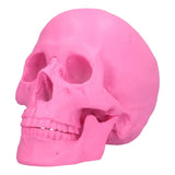 Resin Halloween Skull Decor Festival Home Props Fake Whole Person Skull Ornaments Pink