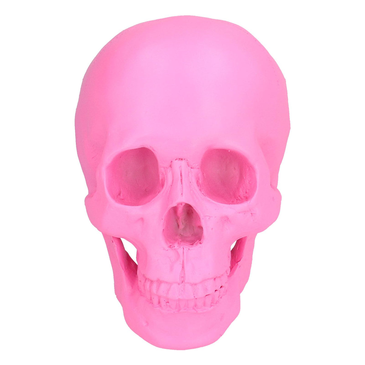 Resin Halloween Skull Decor Festival Home Props Fake Whole Person Skull Ornaments Pink