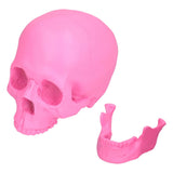 Resin Halloween Skull Decor Festival Home Props Fake Whole Person Skull Ornaments Pink - Rear View