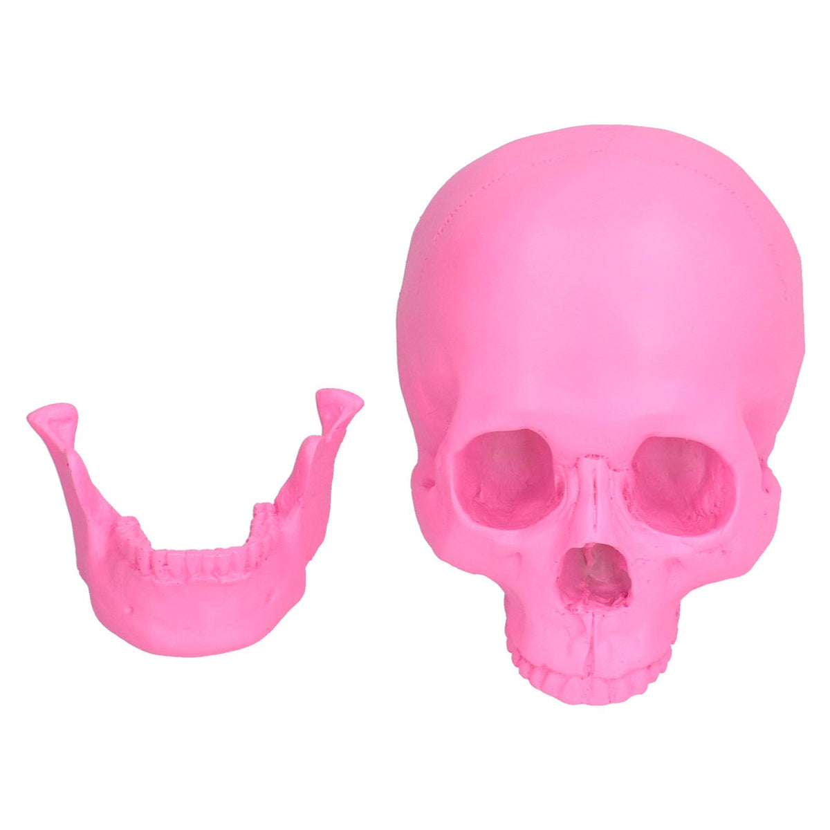 Resin Halloween Skull Decor Festival Home Props Fake Whole Person Skull Ornaments Pink