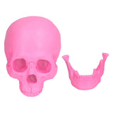 Resin Halloween Skull Decor Festival Home Props Fake Whole Person Skull Ornaments Pink - Low Angle