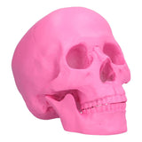 Resin Halloween Skull Decor Festival Home Props Fake Whole Person Skull Ornaments Pink - Extra Image
