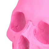 Resin Halloween Skull Decor Festival Home Props Fake Whole Person Skull Ornaments Pink - Extra Image