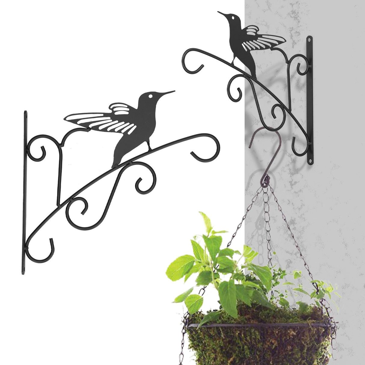 Hanging Plant Bracket Stable and Sturdy Iron Decorative Plant Hanger for Flower Bird Feeder LanternsAsuka