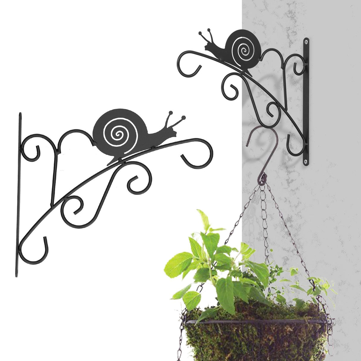 Hanging Plant Bracket Stable and Sturdy Iron Decorative Plant Hanger for Flower Bird Feeder LanternsSnails