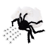 Decorative Spider Spook House Artificial Spider with Fake Cobweb for Party Halloween Festival Decoration