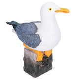 Seagull Figurine Decorations Cute Appearance Vivid Lifelike Exquisite Workmanship Nautical Decor for Home Decor Gifts