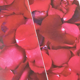 6PCS 100x18cm 3D Stair Sticker Rose Flower Self Adhesive Wall Sticker Waterproof Tile Stair Sticker for Valentine's Day