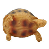 Tortoise Ornament Pet Animal Figurine Resin Home Decoration for Fish Tanl Aquarium - Side View