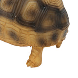 Tortoise Ornament Pet Animal Figurine Resin Home Decoration for Fish Tanl Aquarium