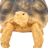 Tortoise Ornament Pet Animal Figurine Resin Home Decoration for Fish Tanl Aquarium - Extra Image