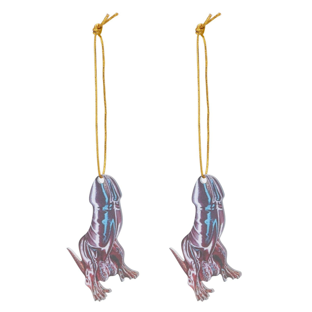 Dinosaur Pendant Acrylic Dinosaur Charm Home Decoration with Lanyard for Car Dinosaurs Themed Party 2