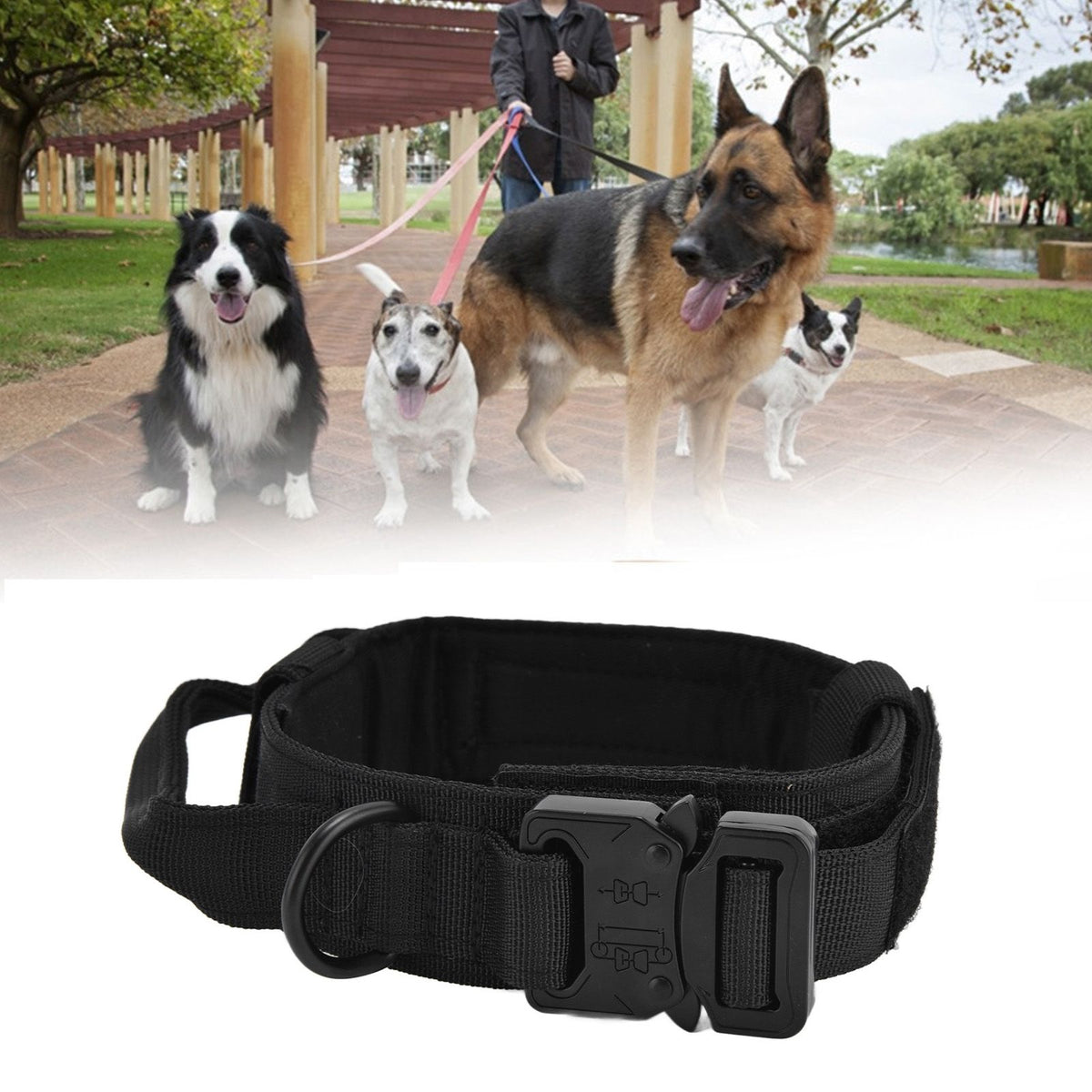 Traction Dog Collar with Buckle Nylon Iron Training Hunting Collar Pet Accessory for OutdoorBlack XL