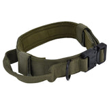 Traction Dog Collar with Buckle Nylon Iron Training Hunting Collar Pet Accessory for OutdoorGreen M