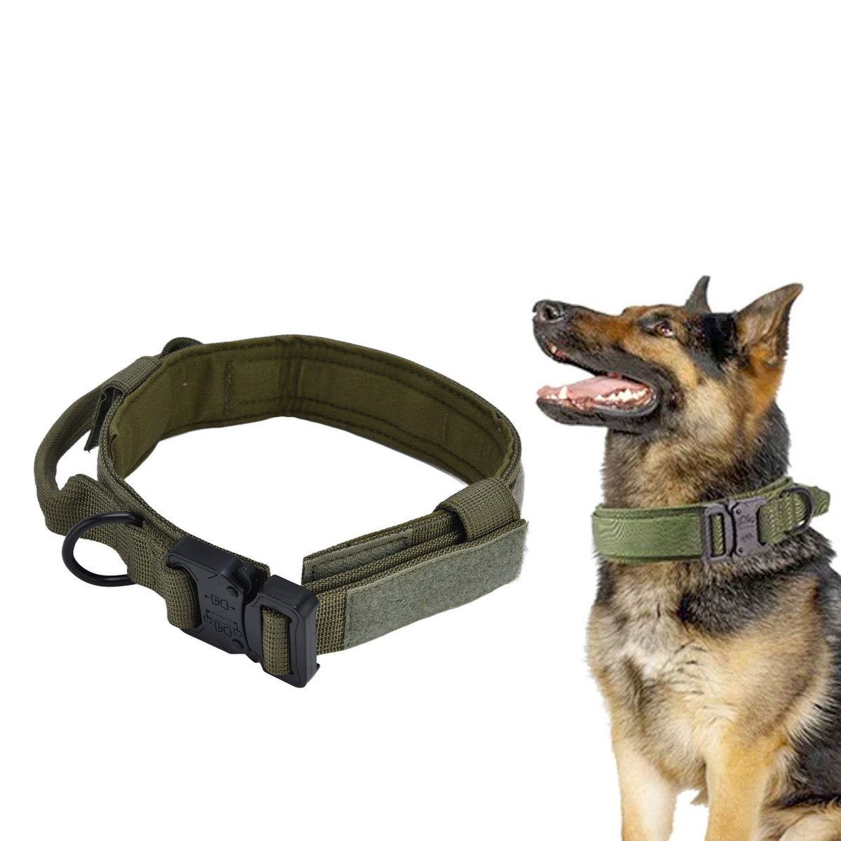 Traction Dog Collar with Buckle Nylon Iron Training Hunting Collar Pet Accessory for OutdoorGreen M