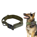 Traction Dog Collar with Buckle Nylon Iron Training Hunting Collar Pet Accessory for OutdoorGreen M