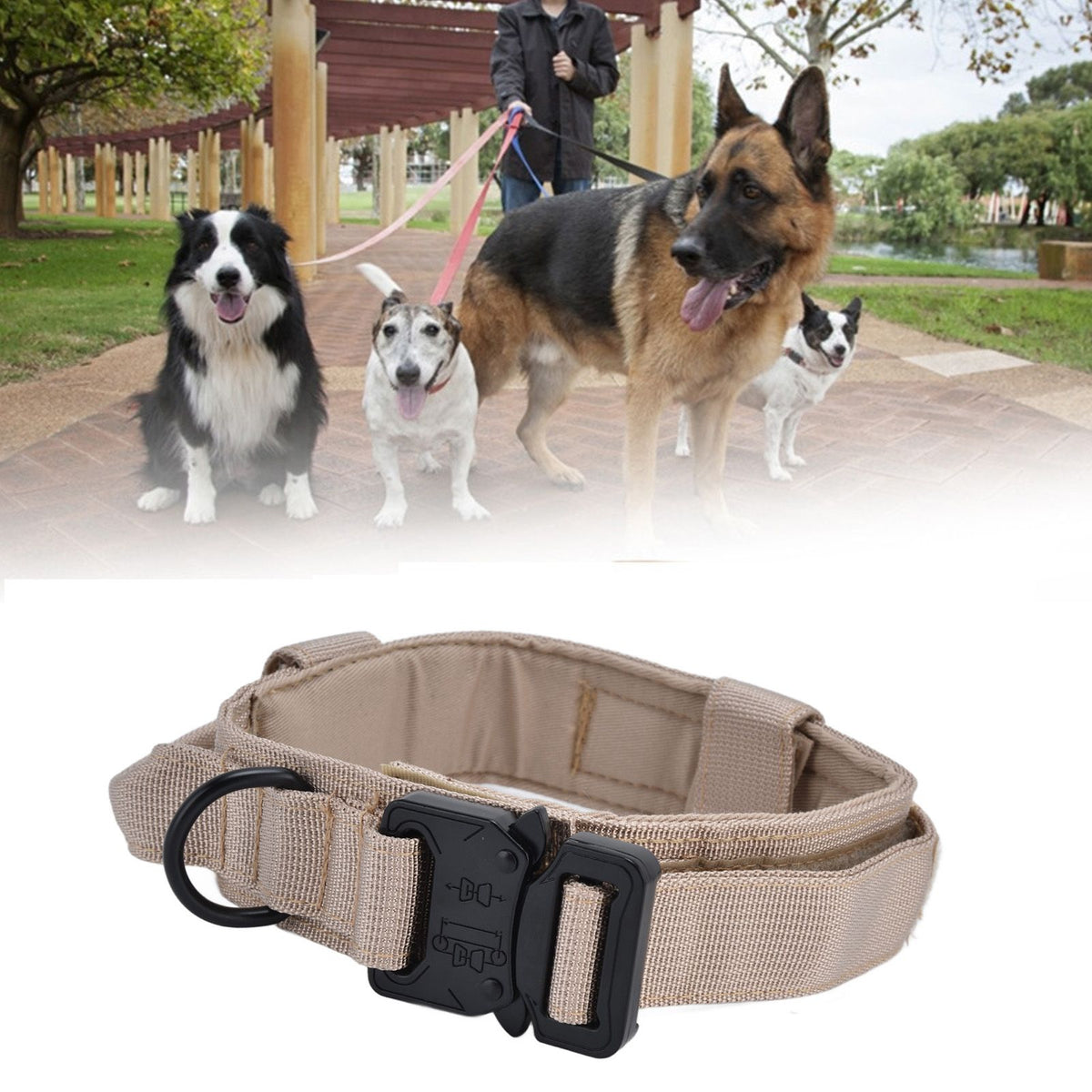 Traction Dog Collar with Buckle Nylon Iron Training Hunting Collar Pet Accessory for OutdoorKhaki XL