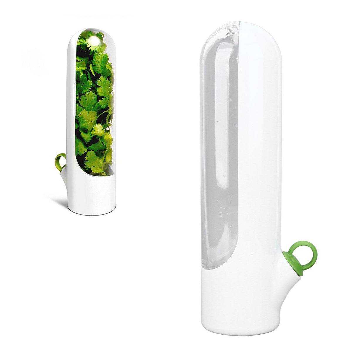 Herb Keeper Herb Storage Container Savor Preserver for Cilantro Mint Parsley Asparagus