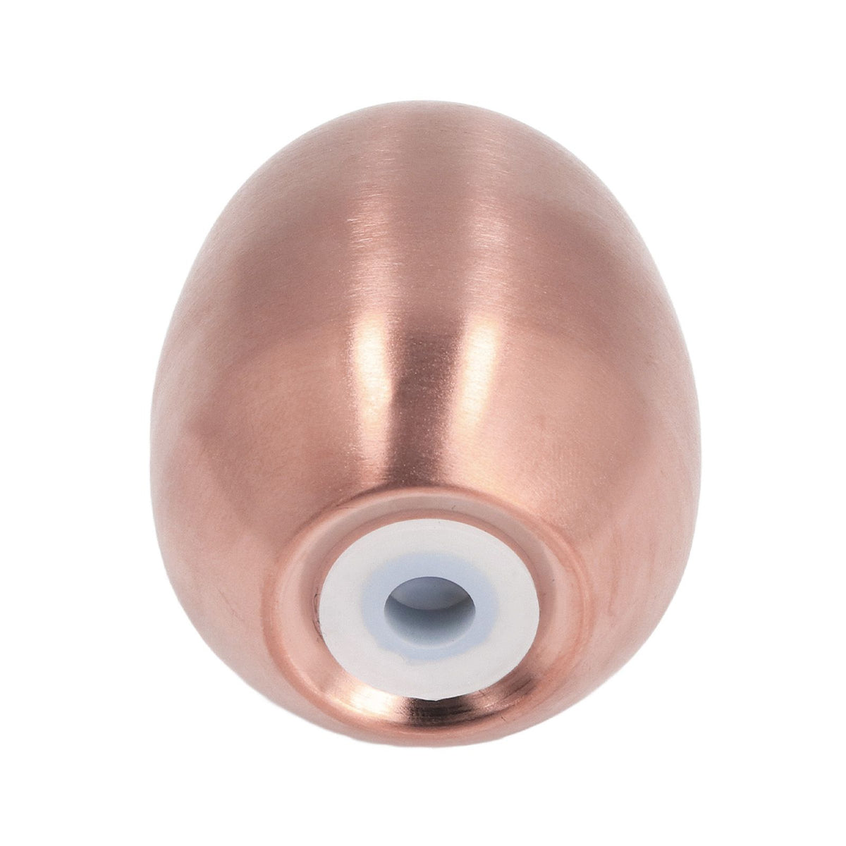 Egg Spice Shaker Stainless Steel Egg Shaped Pepper Shaker for Outdoor Barbecue Restaurant Banquet Party Rose Gold